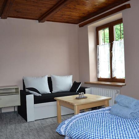 Penzion pod Severákem Lučany nad Nisou Esterno foto